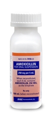 otc amoxicillin for dogs