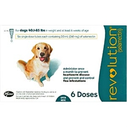 Revolution l Heartworm Prevention For Dogs and Cats | Medi-Vet