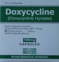 Doxycycline Antibiotic for Dogs & Cats 100 mg, 100 Tablets