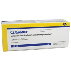 Clavamox l Antibiotic For Pets | Medi-Vet