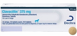 Putney Amoxi-Clav (Amoxicillin Trihydrate and Clavulanate Potassium ...