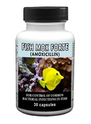 Fish Mox Forte l Amoxicillin 500mg For Fish | Medi-Vet