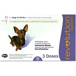 Revolution l Heartworm Prevention For Dogs 5-10lbs | Medi-Vet