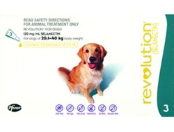 Revolution l Heartworm Prevention For Dogs 40-85lbs | Medi-Vet