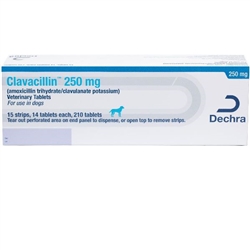 Clavacillin (amoxicillin Trihydrate Clavulanate Potassium) 250mg 