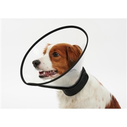 Buster Complete Elizabethan Collar For Small Breeds 10cm 4