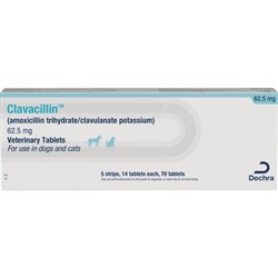 Amoxicillin trihydrate and clavulanate potassium tablets for sales dogs