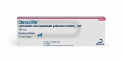 Clavacillin (Amoxicillin Trihydrate/Clavulanate Potassium) 250mg ...